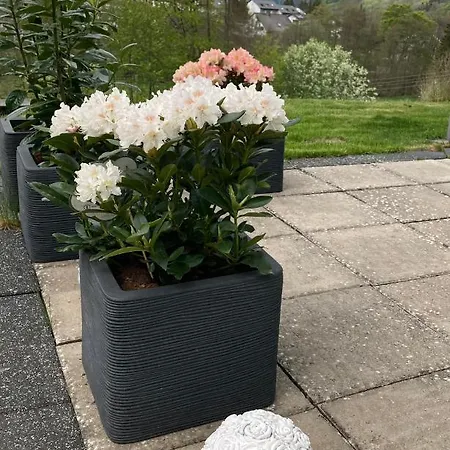 Stremme Apartment Willingen (Upland)