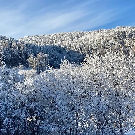 Stremme Apartment Willingen (Upland)