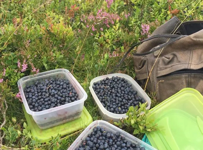 Stremme Appartement Willingen (Upland)