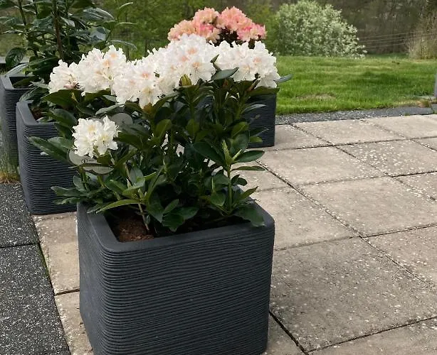 Stremme Appartement Willingen (Upland)