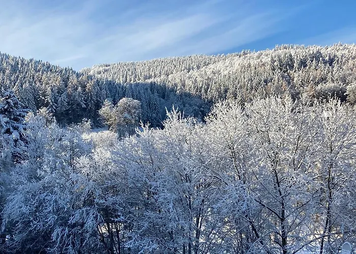 Stremme Appartement Willingen (Upland)